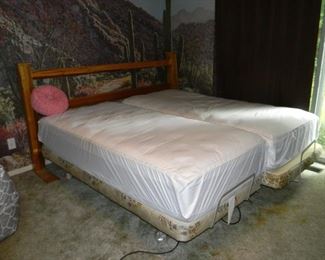 Electric king bed ( 2 twins )