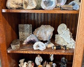Geodes! Fossils, minerals, and more!