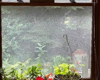 Potted plants and stained glass