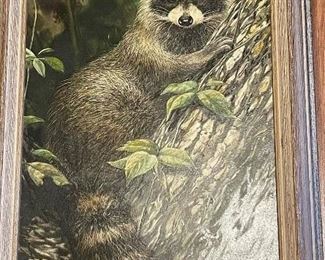 Raccoon painting by Robert Henley, Roanoke artist