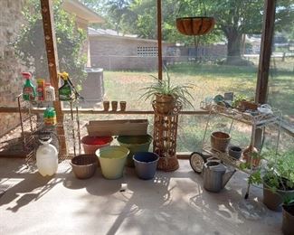 More plants and plant pots