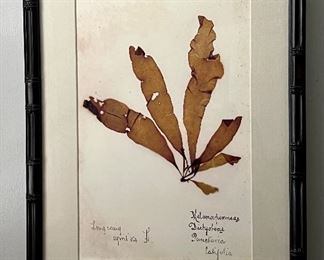 William Sonoma Leaf Print