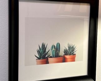Framed Succulent Photograph 