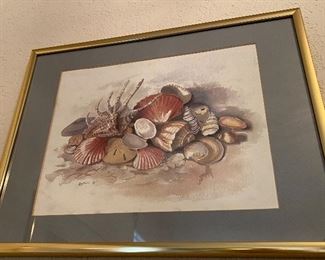Framed Print of Seashells