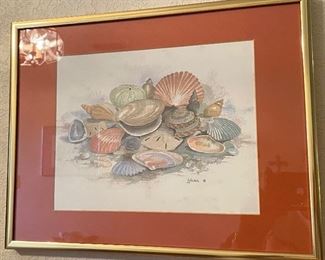 Framed Print of Seashells