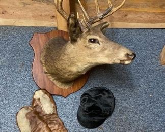 Mounted Deer Head, Animal Gloves, and Hat