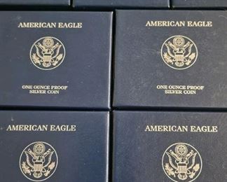 Silver Eagle Proof Coins
