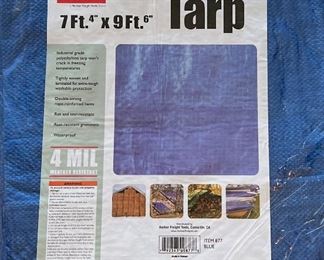 Tarp x 3 