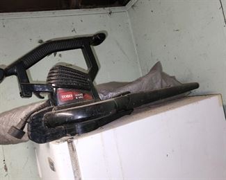Toro blower/vacuum, in outbuilding closest to the house