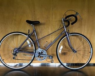 Panasonic Sport 1000 Mixtee $499