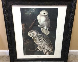 JOHN AUDUBON PLATE #121 SNOWY OWL