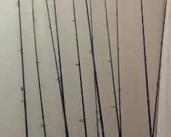 BAITCASTER REELS, OPEN FACE REELS, FISHING RODS, SHIMANO, QUANTUM, FISHING REELS AND RODS