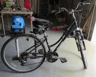 Raleigh women's bicycle
