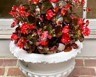 Cast Iron Planter