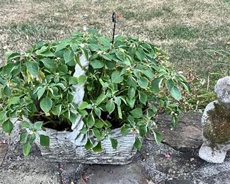 Cement Basket & Garden Statue
