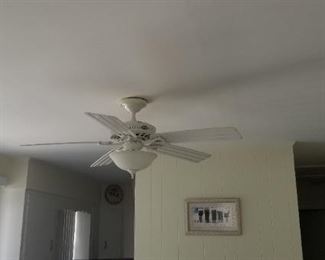 Hunter ceiling fan