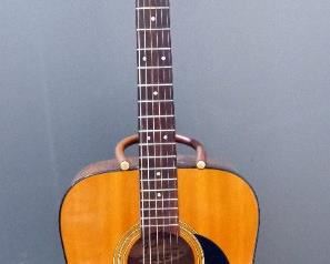 Fender Concord 6-String Acoustic Guitar, In Carry Case, With Stand
