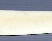 Decorative Letter Opener With Rose And Vine Handle, 13.5" Long