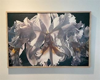 W. Godfrey Cattelayas - poster laminated picture, 3' x 2",  was $78, NOW $48