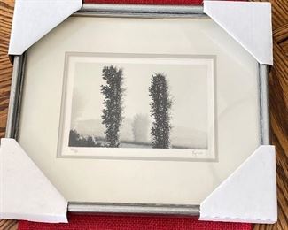 Kipness original signed lithograph, "Portal", limited edition, 86/160,  COA,  was $195, NOW $140