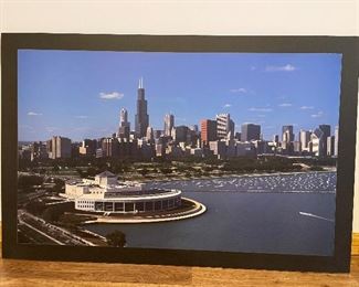 Gustafson, Shedd Aquarium poster laminated on board, 38" x 25",  (Retail $165),  $85
