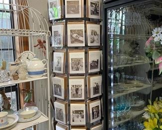 Shannon Martin Funny Cards