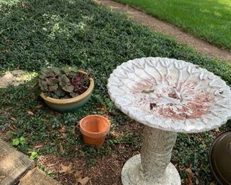 Bird bath 