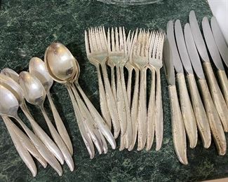 Silverware Set 