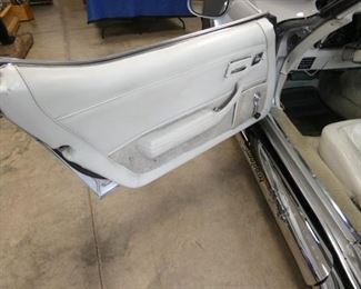 CLOSEUP CLEAN DOOR PANELS