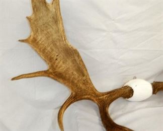 VIEW 2 CLOSEUP LEFTSIDE