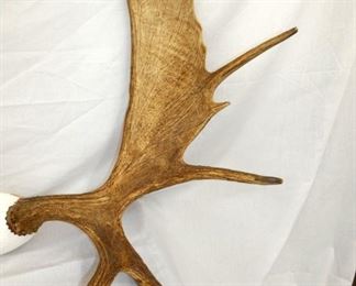 VIEW 3 CLOSEUP RIGHTSIDE