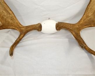 VIEW 4 MEASURES 60 SPREAD X 37 TALL