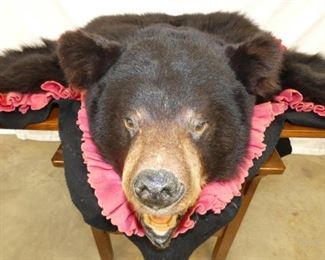 VIEW 2 CLOSEUP 62X73