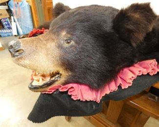 VIEW 3 CLOSEUP BLACK BEAR