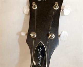 VIEW 2 CLOSEUP MOD. ROCKY TOP