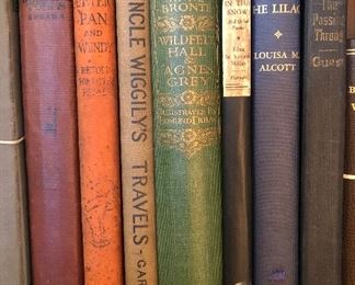 Antiquarian and Vintage Novels