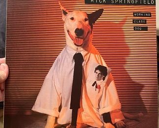 Rick Springfield album