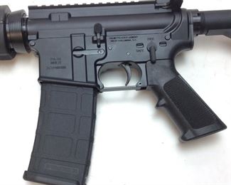 PALMETTO STATE ARMORY PA-15 RIFLE, 5.62, 16'' BARREL, 2 MAGPUL 30 ROUND MAGAZINES & CAMO CARRY BAG,