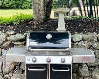 Weber Genesis Grill