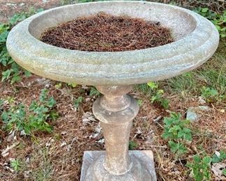 Bird Bath