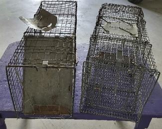 2 Wire Live Animal Traps