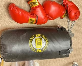 Everlast Punching Bag & Gloves.