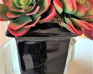 Another succulent arrangement