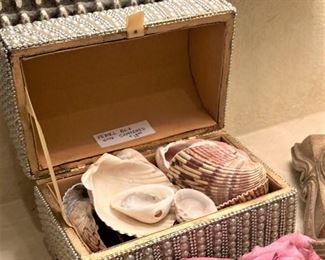 Pearlized box of shells