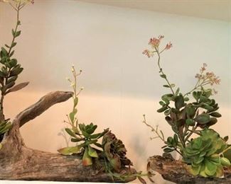 Artificial succulent plants on drift wood
