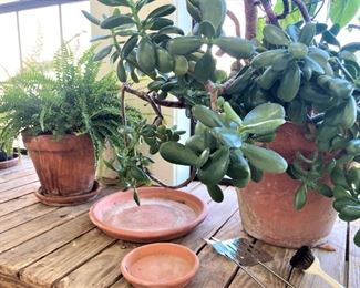 Be sure to go into the greenhouse.