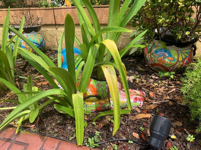 JSM ESTATE SALES, LLC in Orlando, FL starts on 9/8/2022