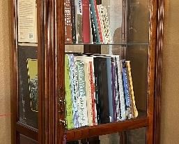 Lighted Glass Surround Bookcase (Pick up on Saturday by noon)