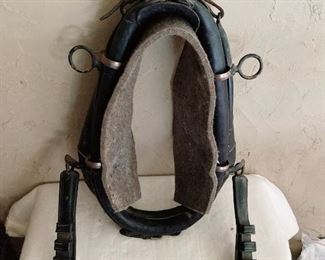 Horse collar