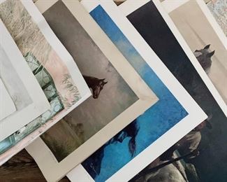 Variety of equestrian prints
